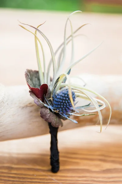 Lane Baldwin Tillandsia boutonniere