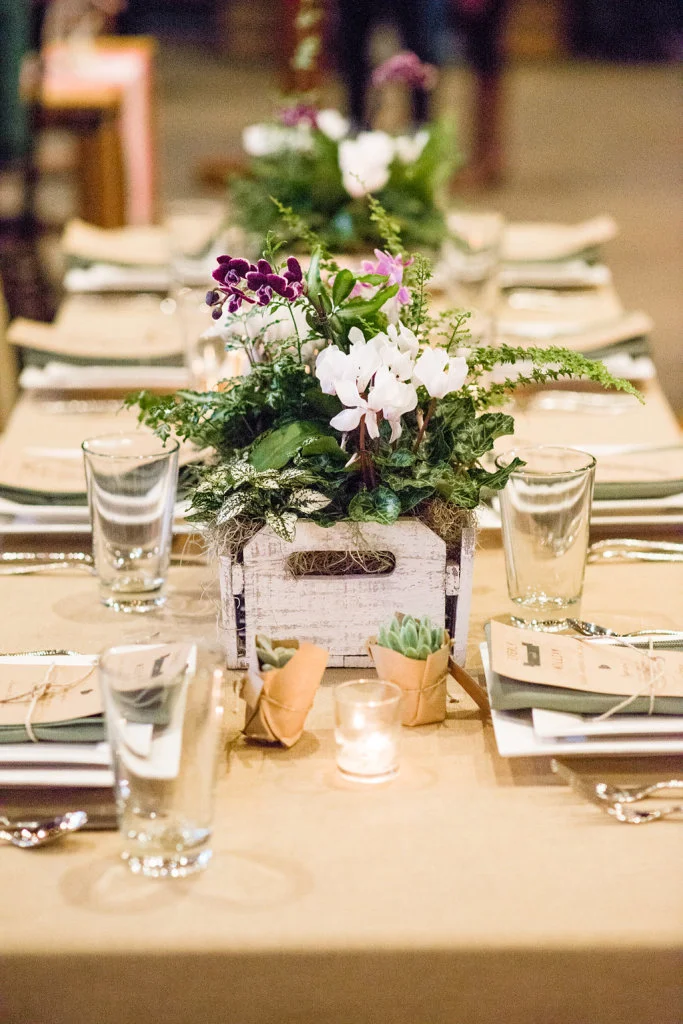 Photo Credit: Emily Millay Photography
