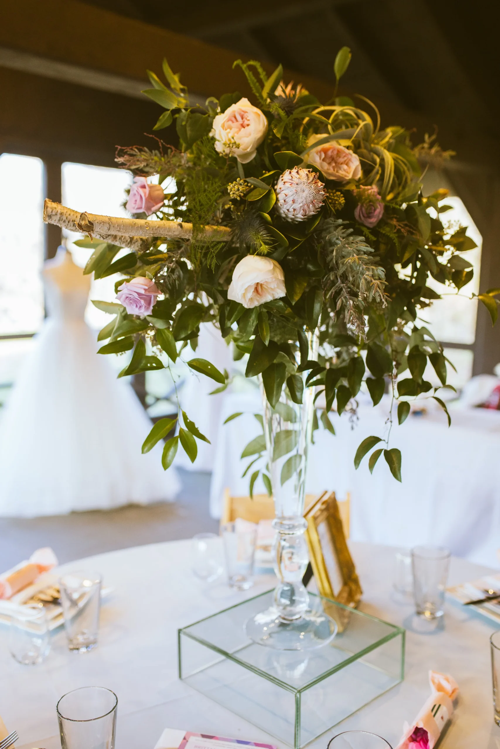 111115BBS49