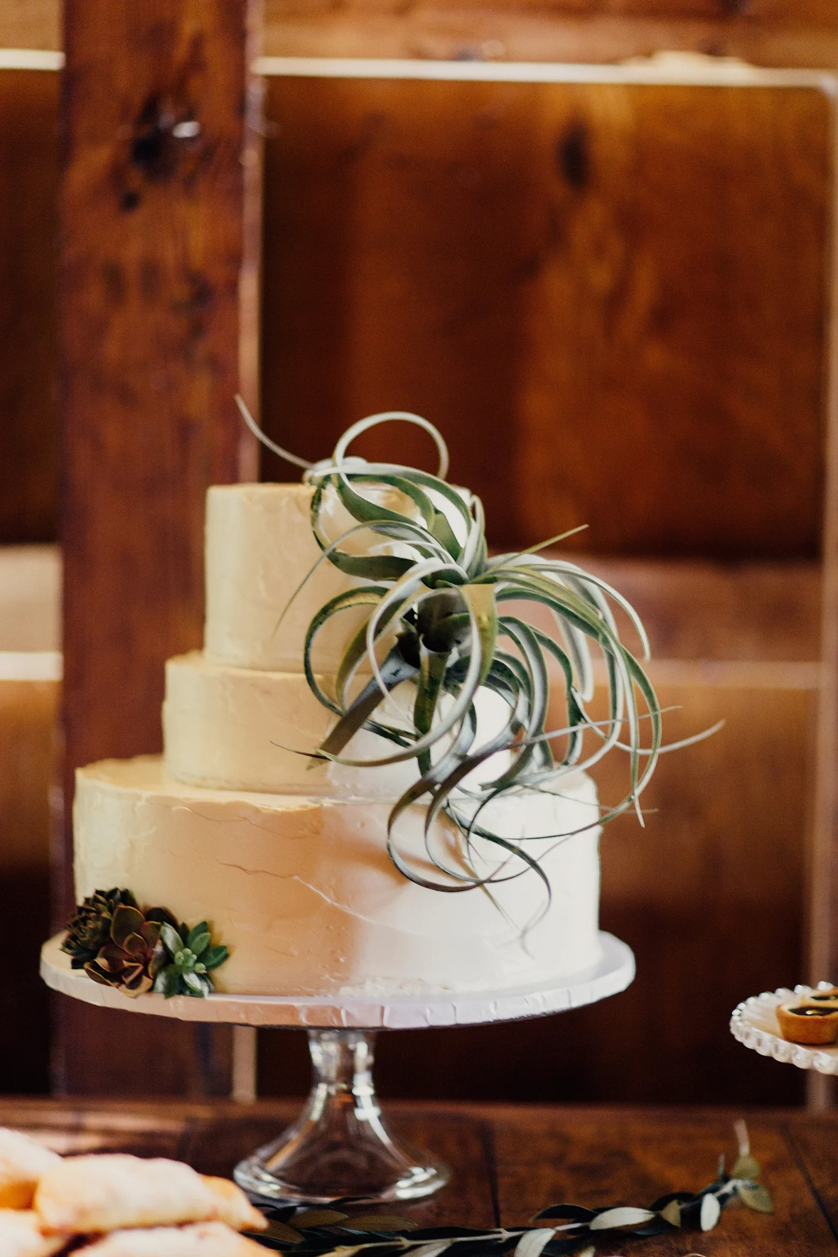  Jon+Michael-Ann-0460 
