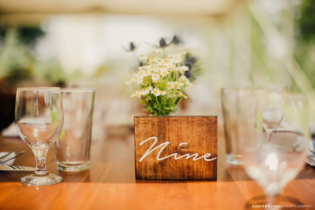 Elizabeth+David-addisonjonesphotography-214