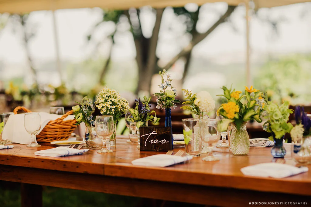 Elizabeth+David-addisonjonesphotography-221