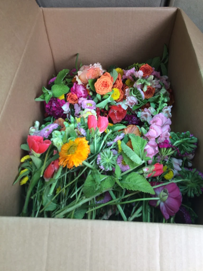 Blog_Flowers