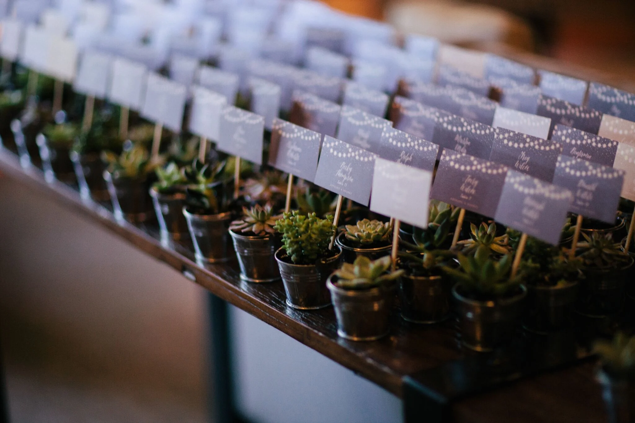  Succulent escort cards sustainable 